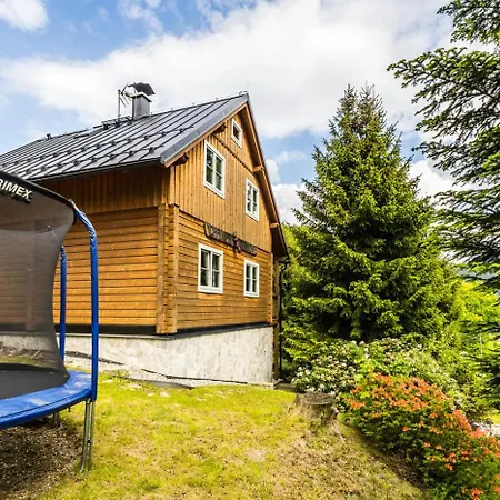 Stylová Se Saunou Chalet Ostružná
